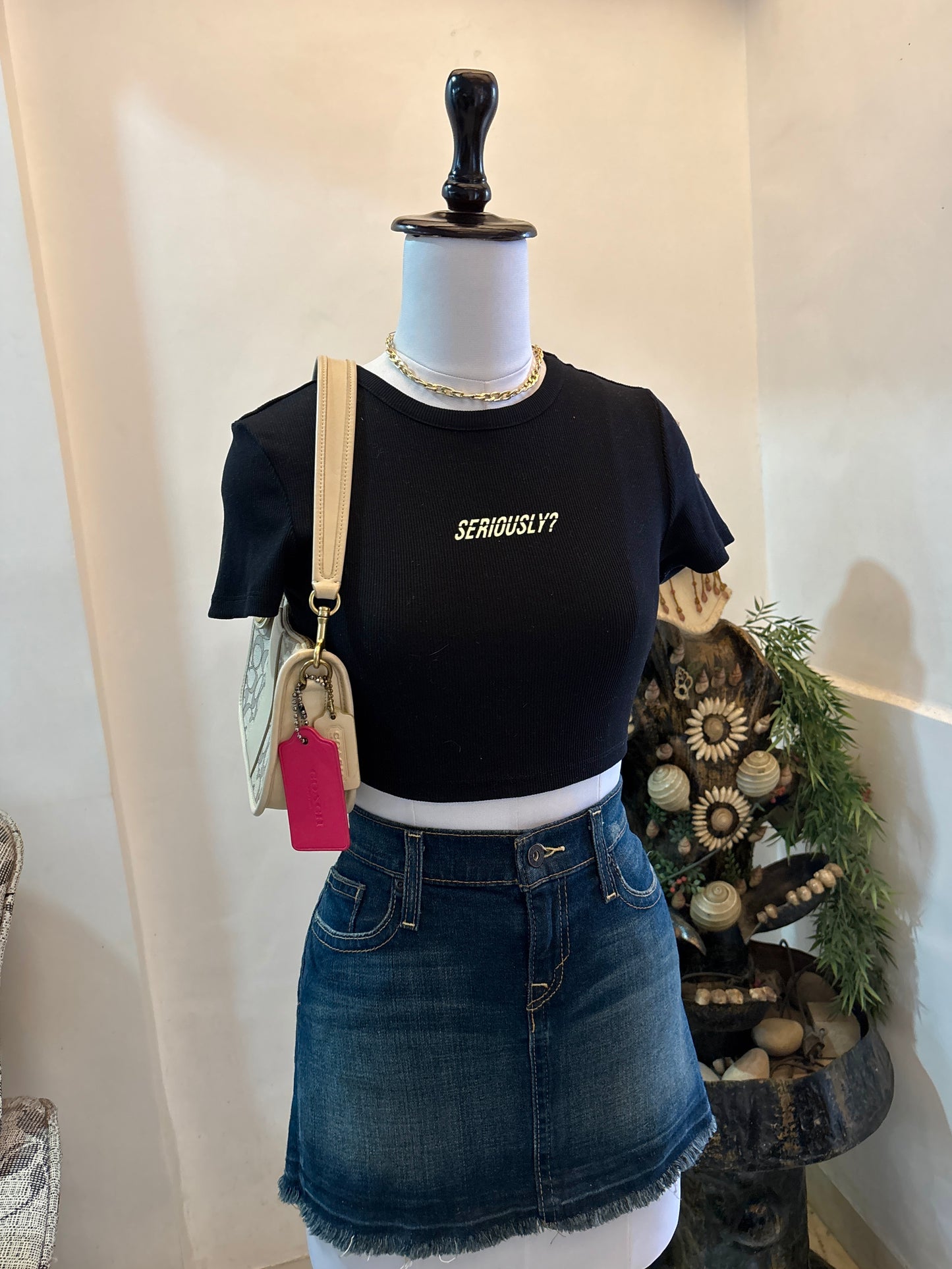 Seriously Crop Tee