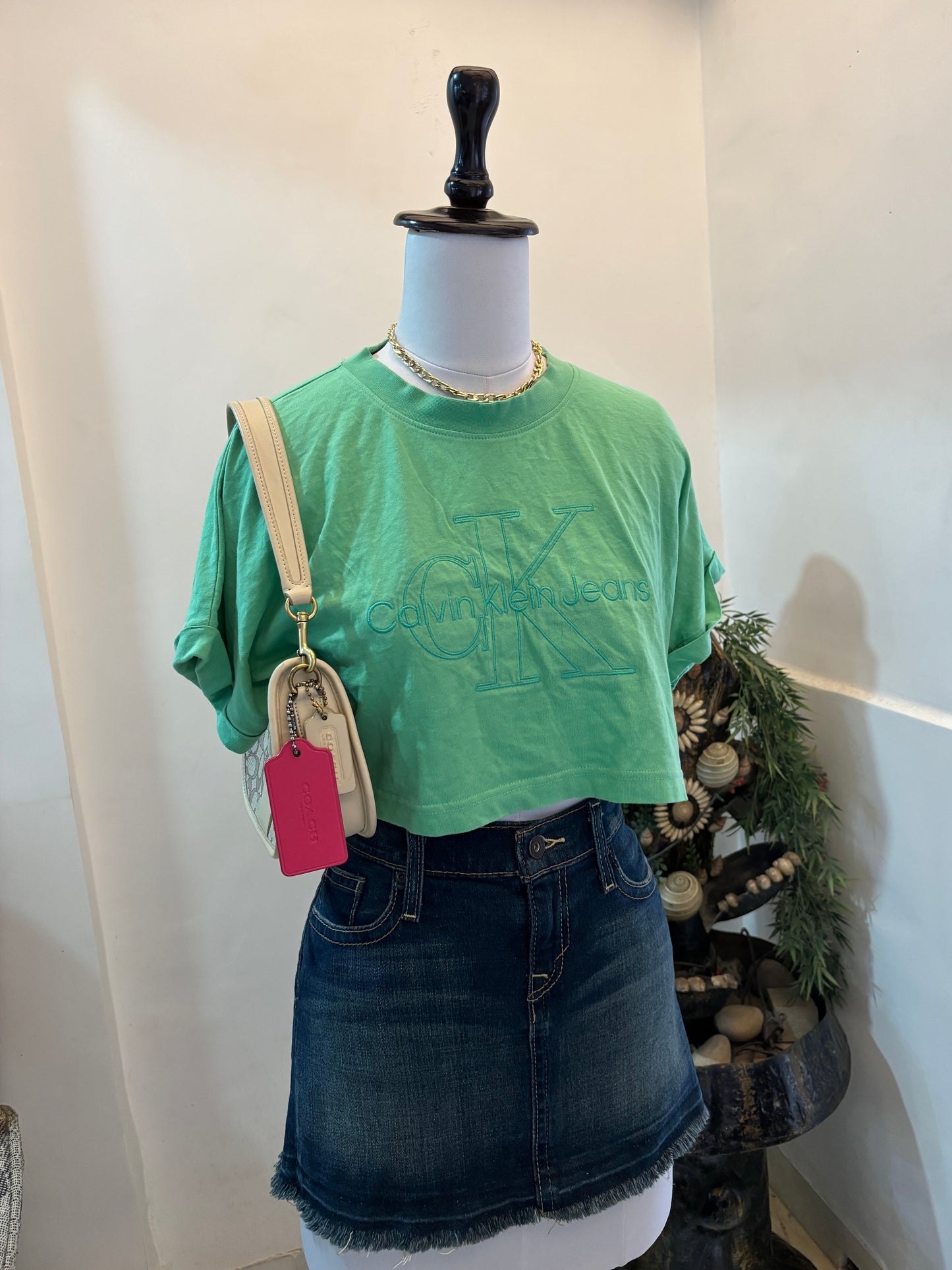 CK Crop Top