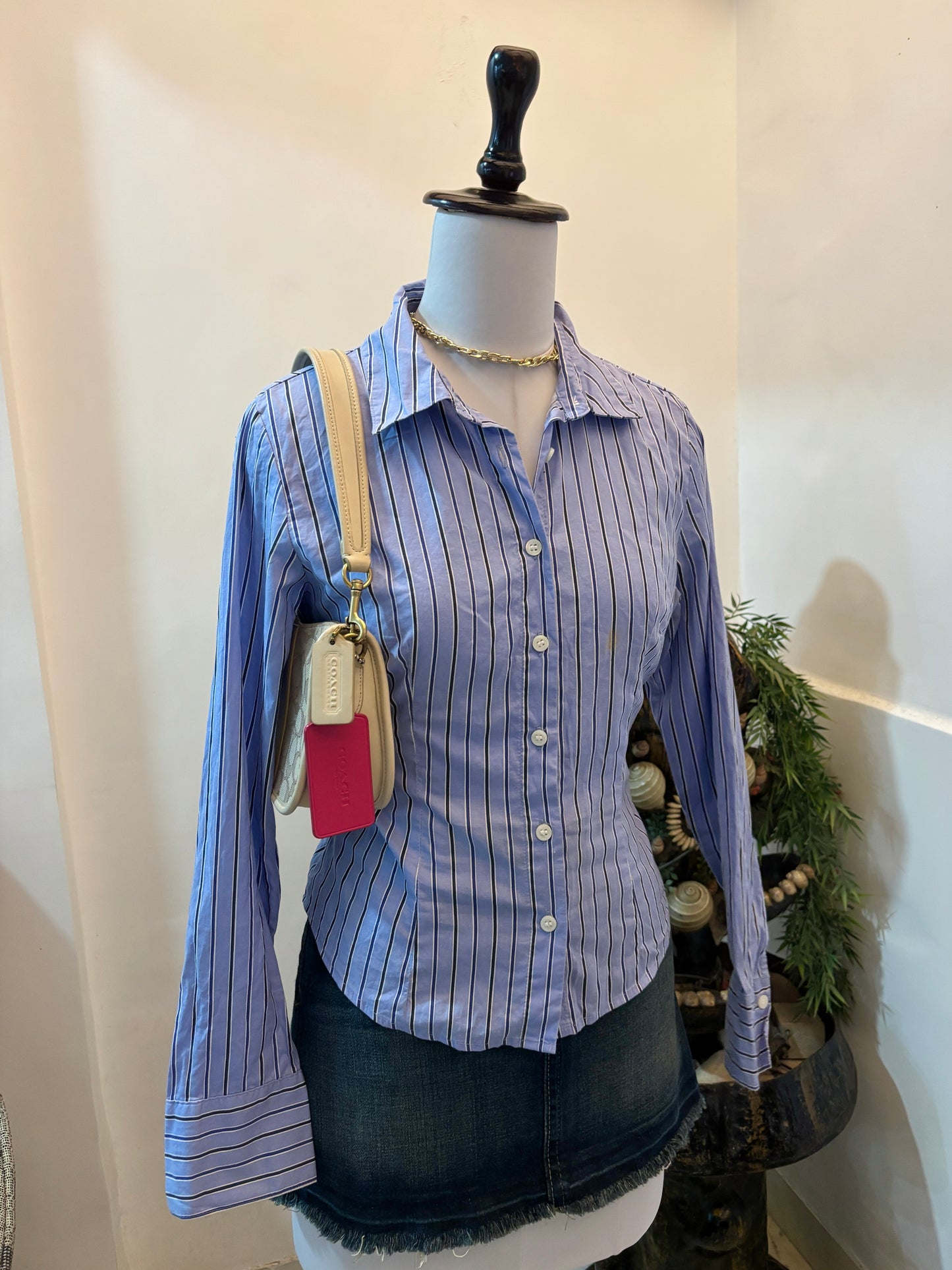 Blue Striped Shirt