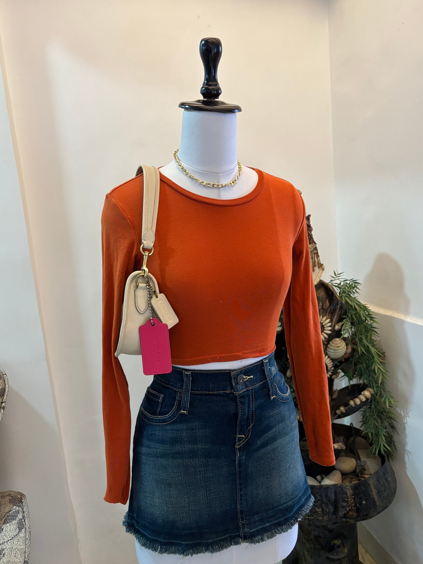Rusty Orange Fitted Top
