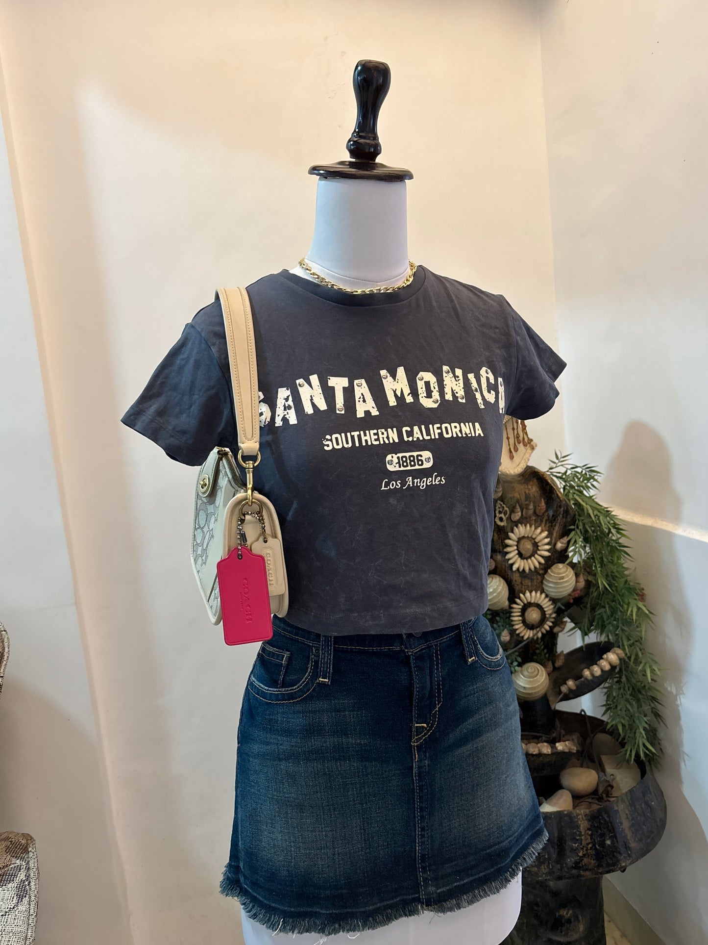 Santa Monica Crop Tee