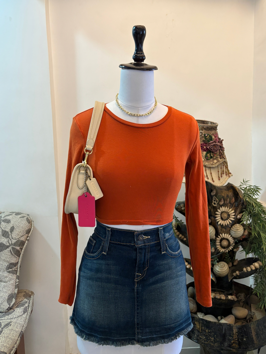 Rusty Orange Fitted Top